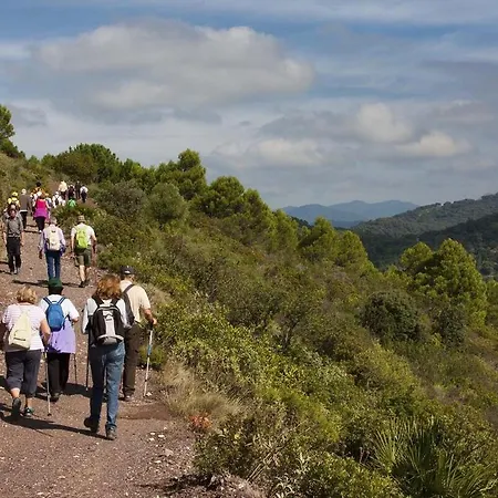 Al4-2006 - - Alcazaba Lagoon Апартаменты Эстепона